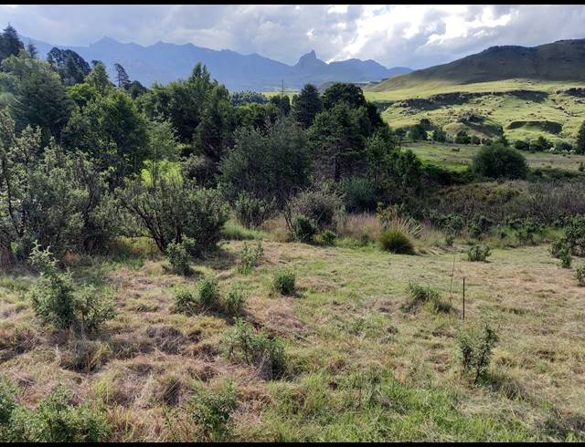 8.80HA VACANT LAND SOLD IN UNDERBERG RURAL